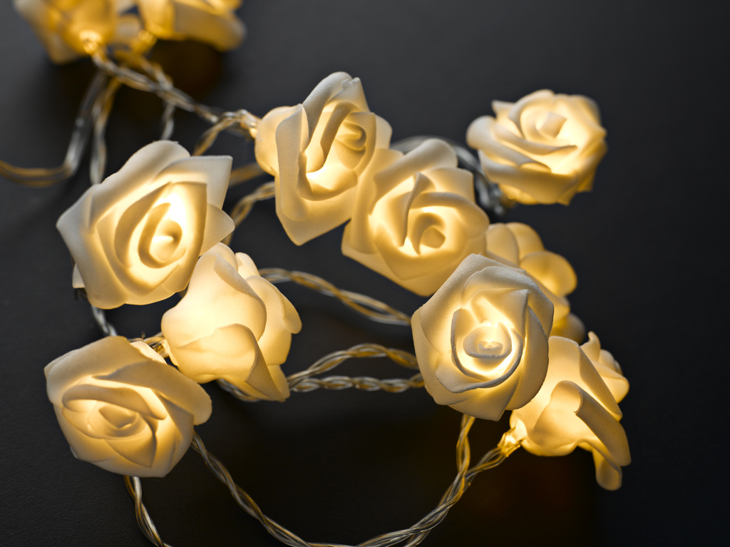 Lichterkette mit Rosen von decoLED.de